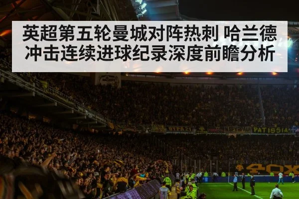 football stadium night crowd
