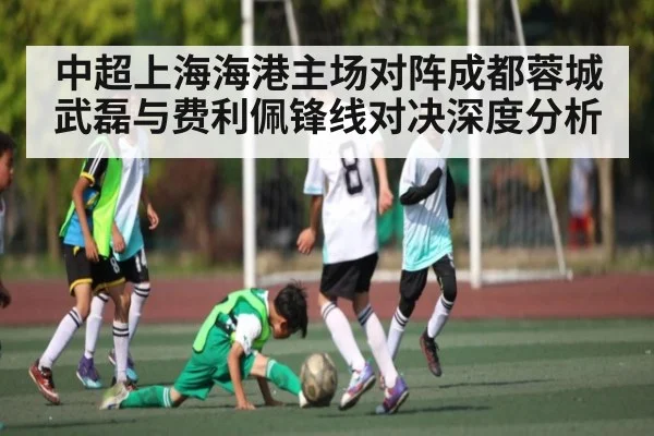 中超上海海港主场对阵成都蓉城武磊与费利佩锋线对决深度分析